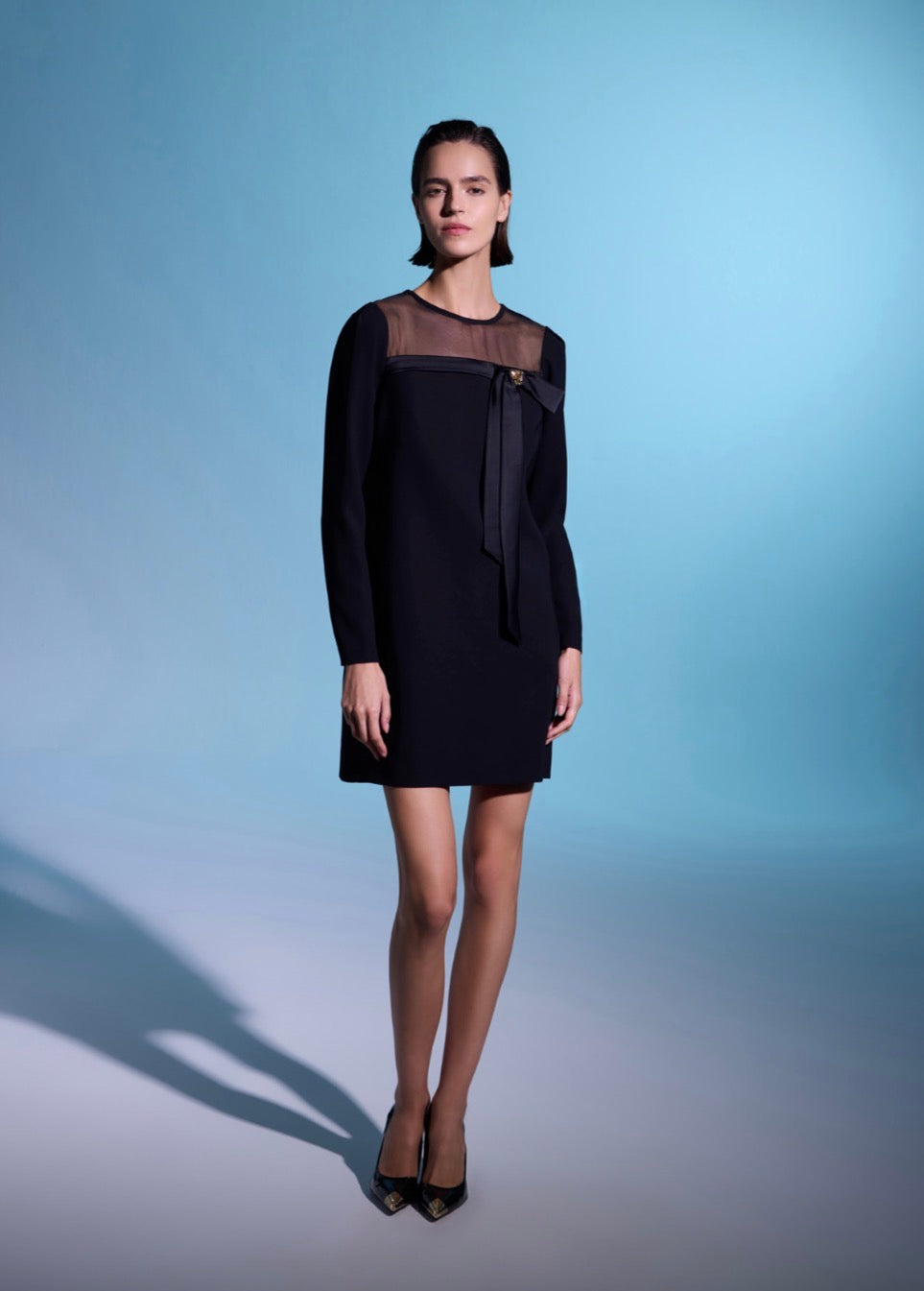 Classic Sheer Panel Dress